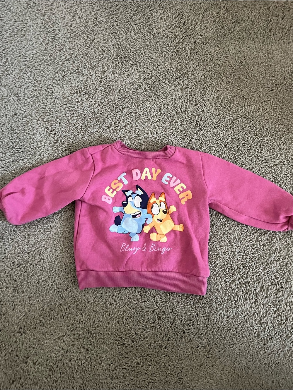 Bluey Sweatshirt 18m